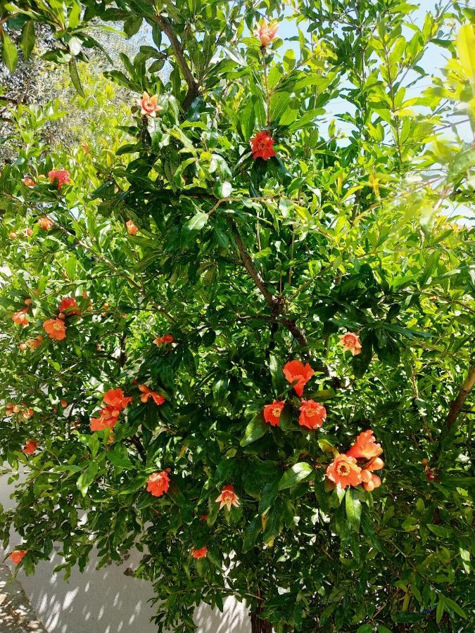 Green Leaves Nea Iraklitsa Ngoại thất bức ảnh